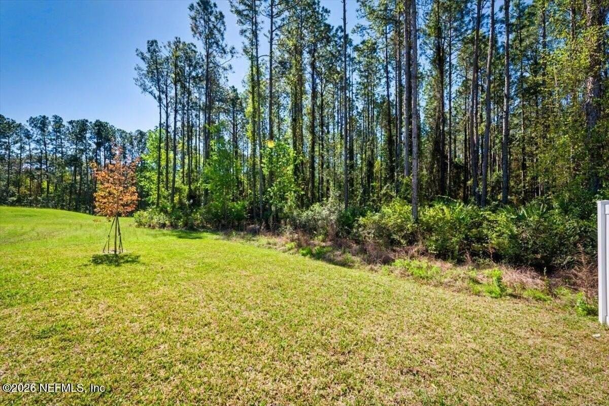 4763 Argand Dr - Photo 6 of 39