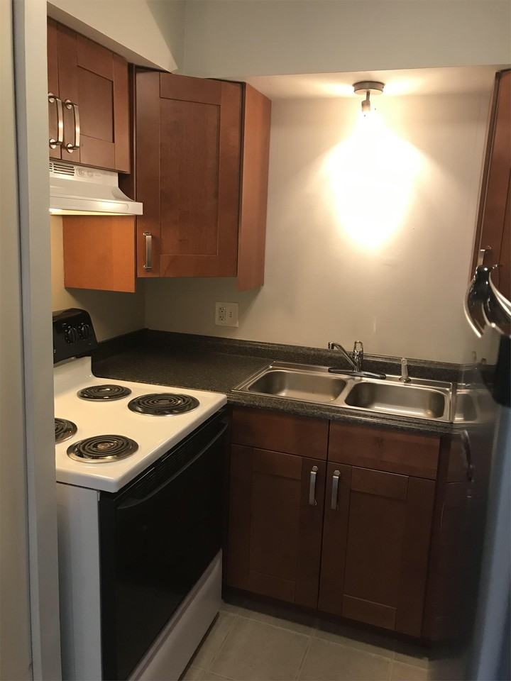 939 E Homer St - Photo 5 of 17
