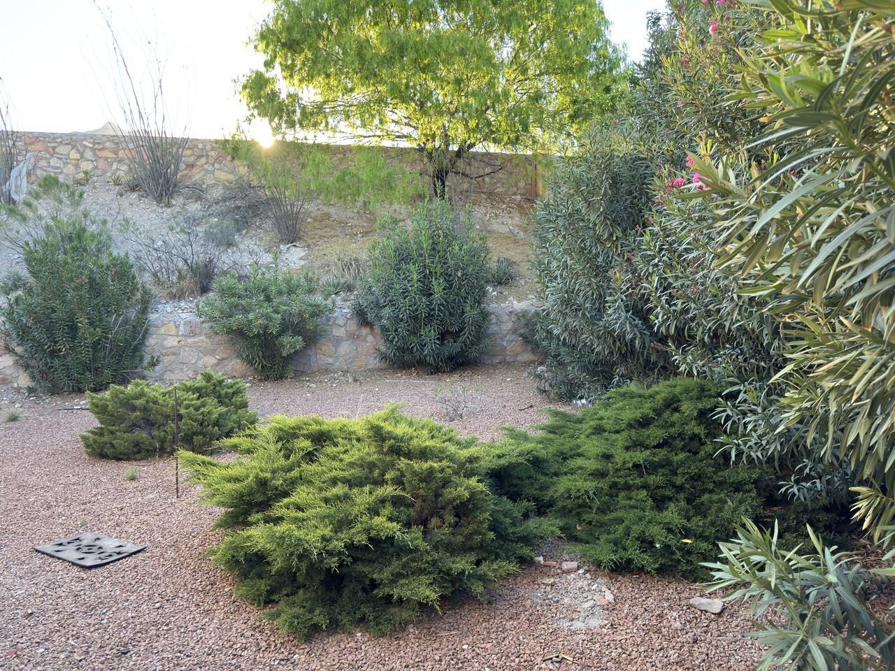 1029 Granite Trail Ct - Photo 6 of 6