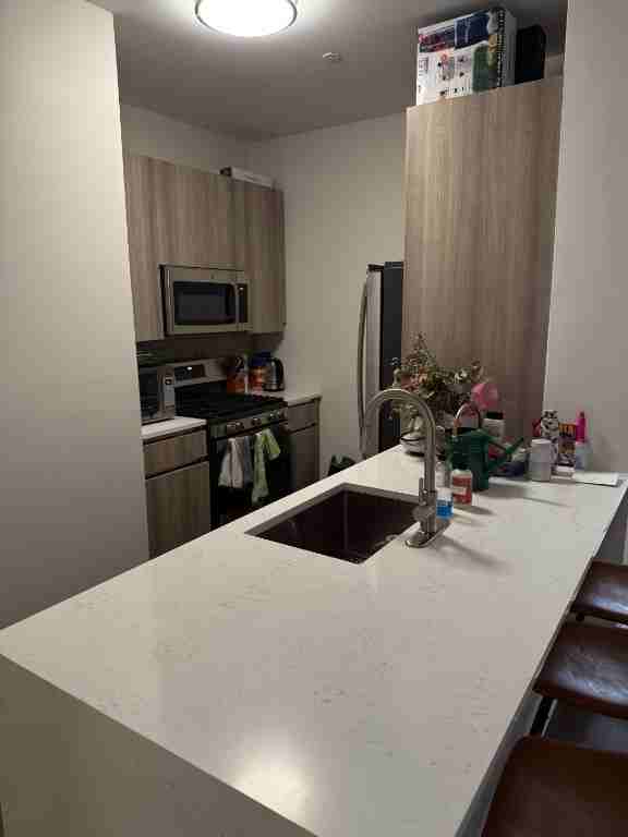 Park Row #6M - Photo 4 of 12