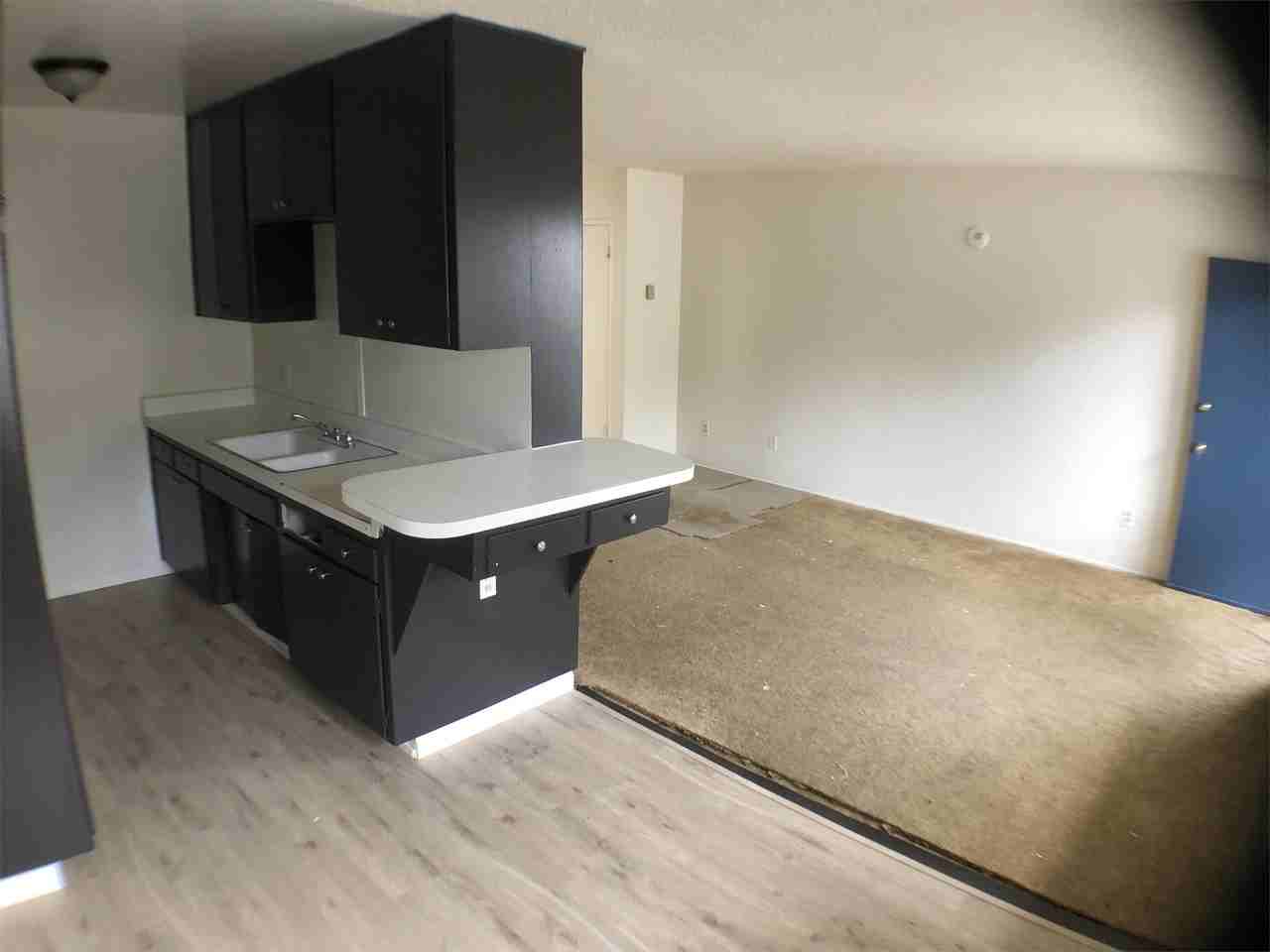 4070 32nd St #7 - Photo 3 of 11