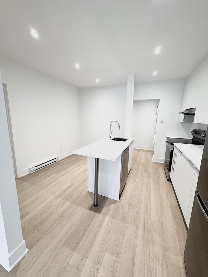 2645 Boulevard Pie-IX #1 - Photo 3 of 10