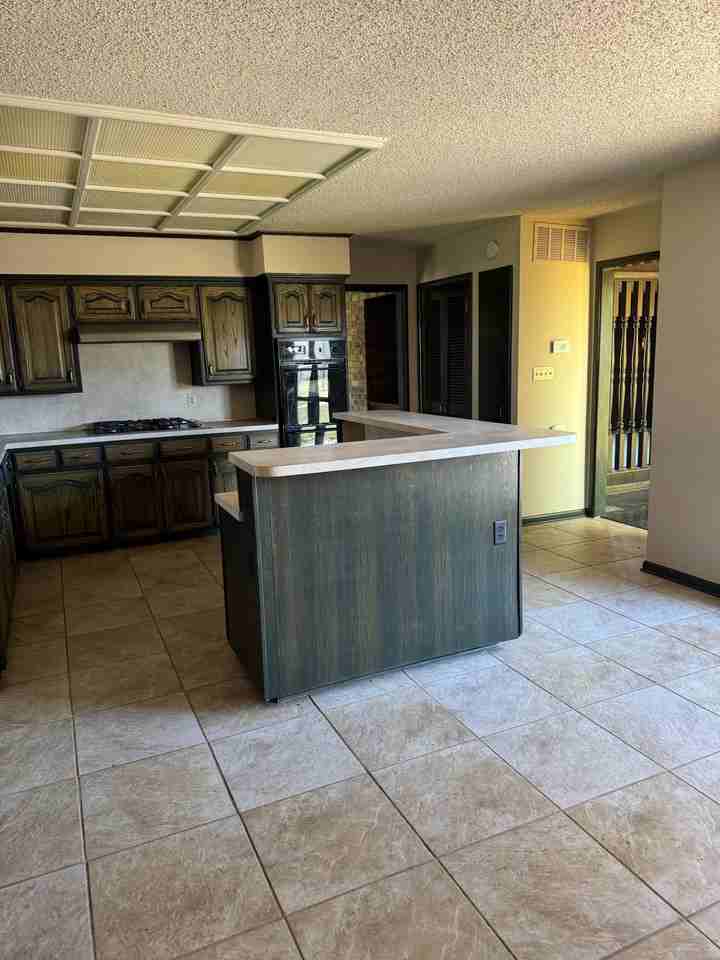 3042 Mulberry Highway 64 W - Photo 6 of 17