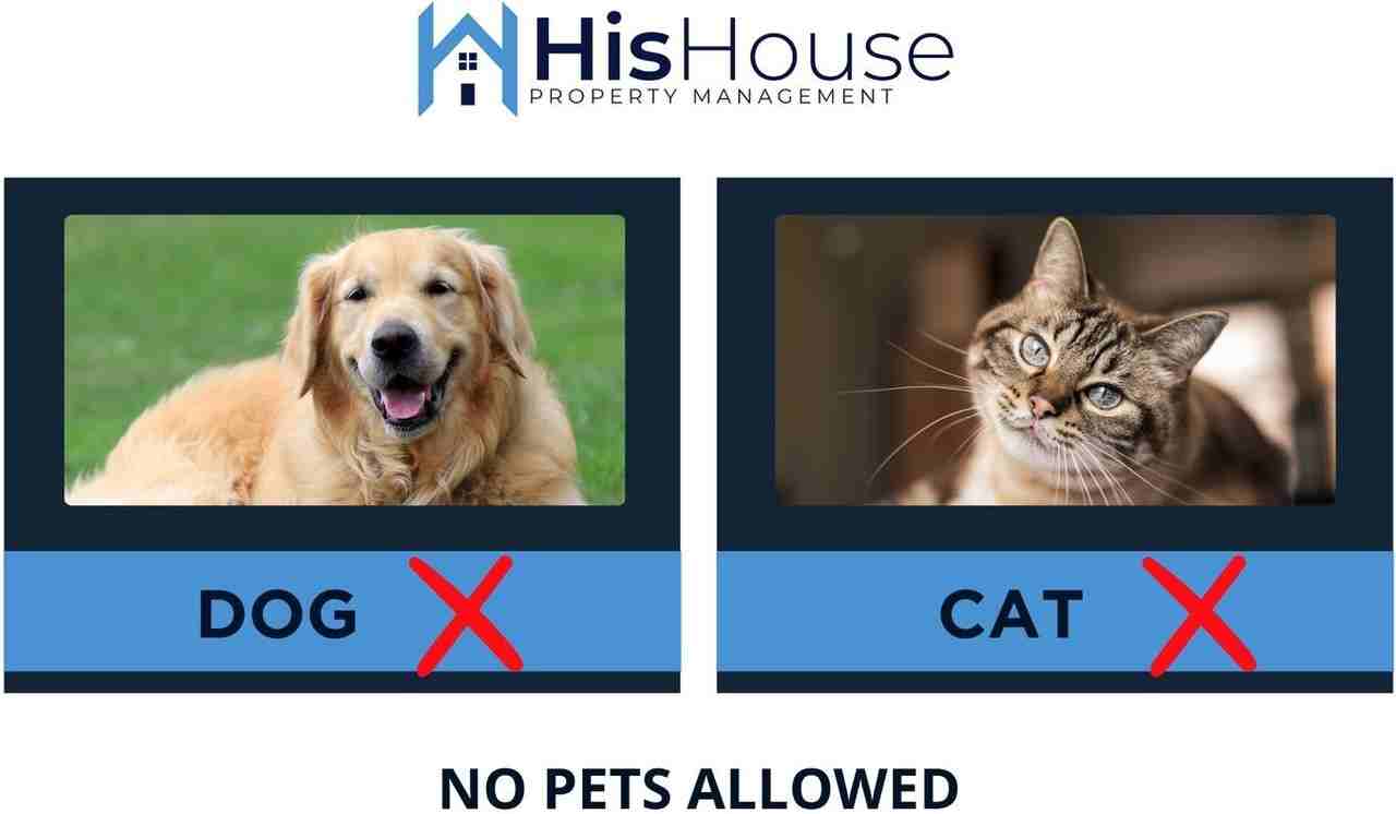 3758 Ponderosa Ct #4 - Photo 3 of 21