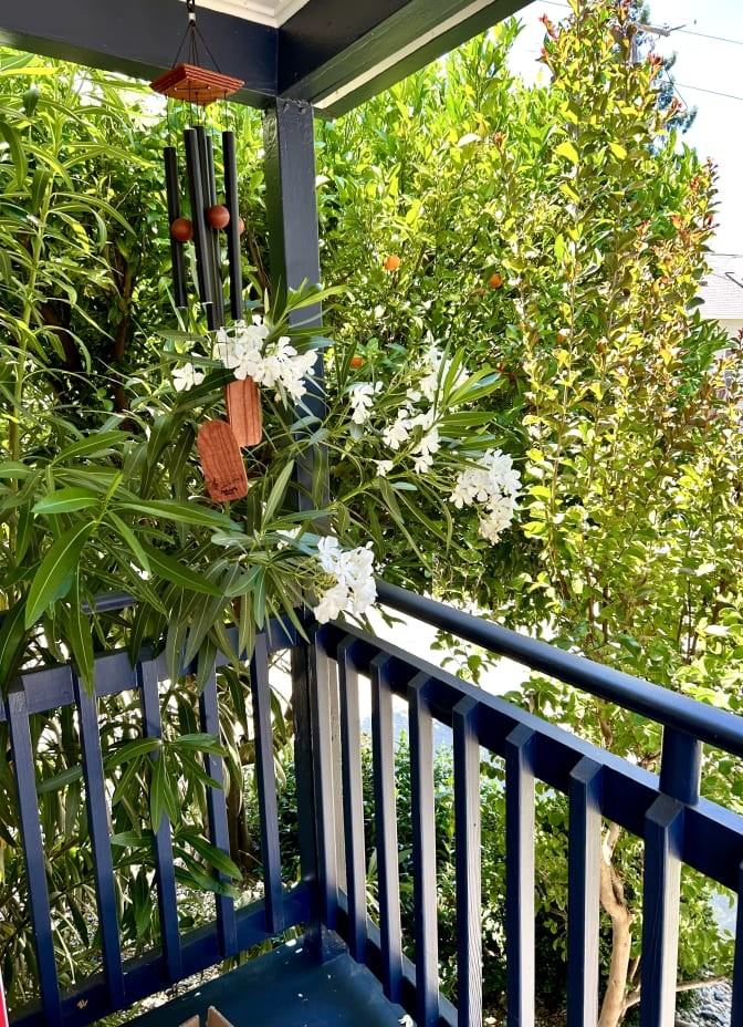 466 Wilson St #NA - Photo 3 of 19