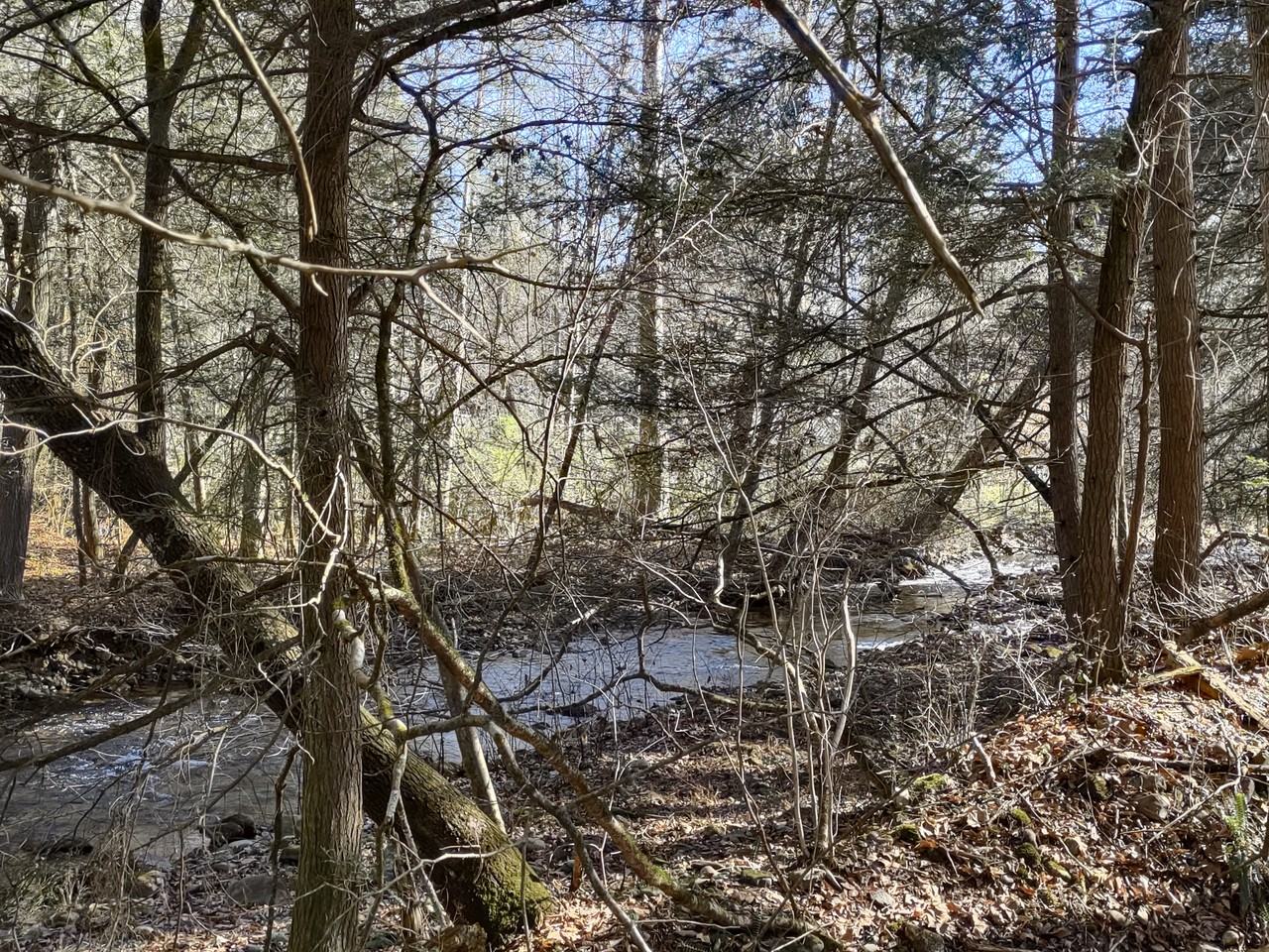 125 Spring Flats Rd #NA - Photo 4 of 18