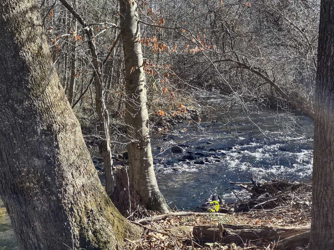 125 Spring Flats Rd #NA - Photo 6 of 18