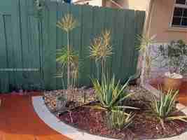 featured image of 6117 Sw 31st St #B