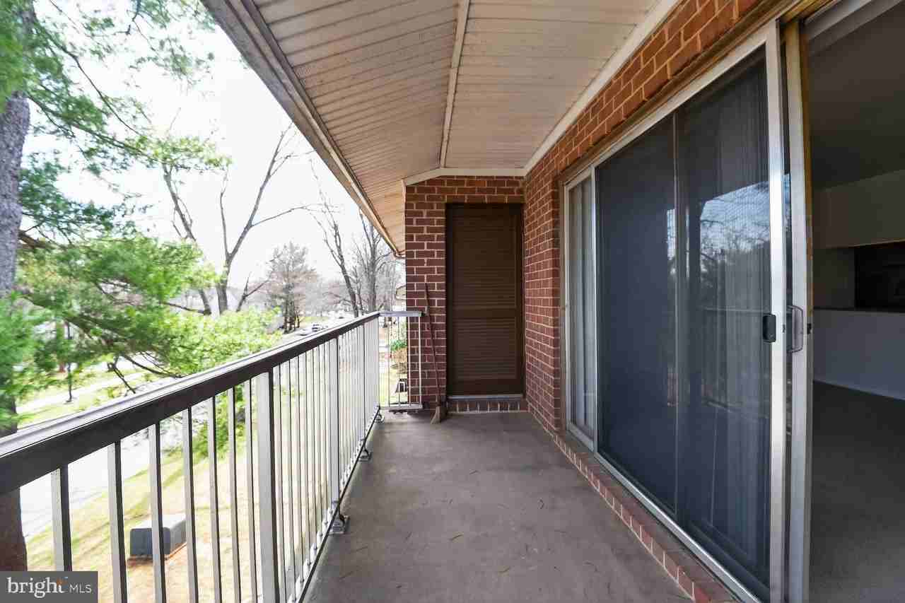 105 Fitz Ct Apt 204 - Photo 5 of 15