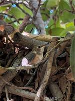 featured image of 4823 River Ave #A