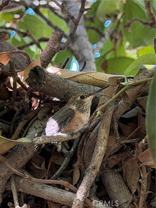 4823 River Ave #A - Photo 1 of 1