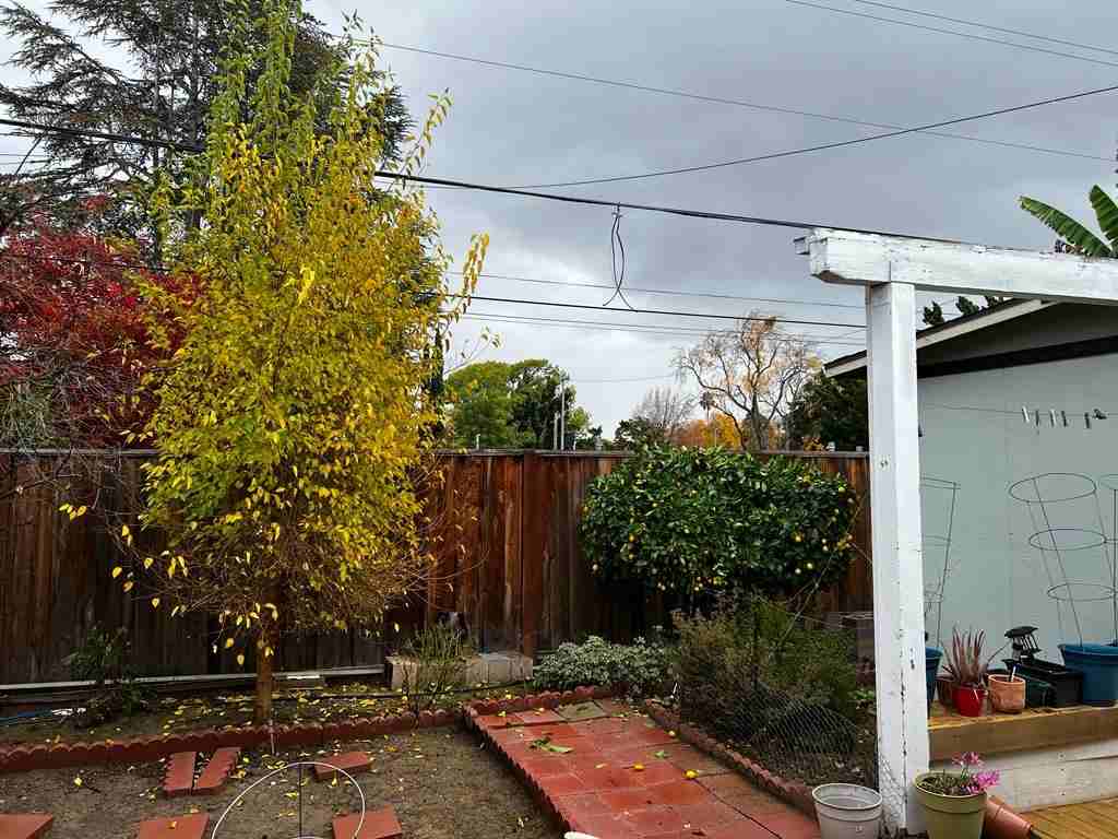 736 Miller Ave #NA - Photo 5 of 12