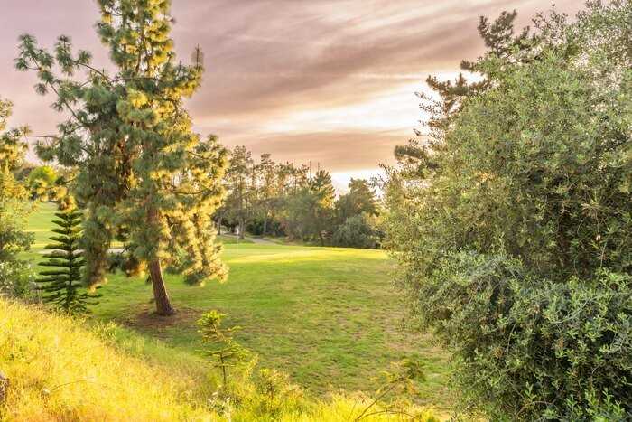 1315 Paseo Corrido - Photo 3 of 36