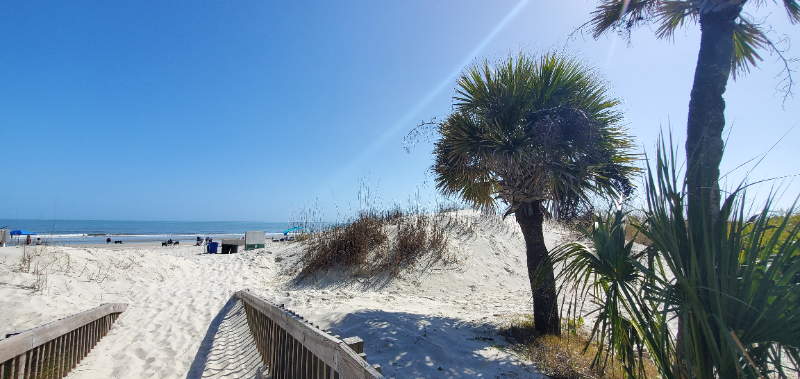 663 William Hilton Pkwy #2121 - Photo 4 of 15