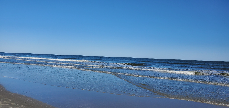 663 William Hilton Pkwy #2121 - Photo 7 of 15