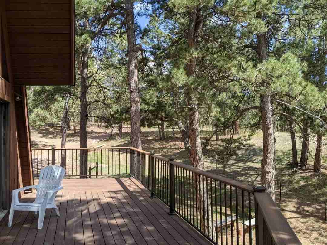 18530 Woodhaven Dr - Photo 4 of 16