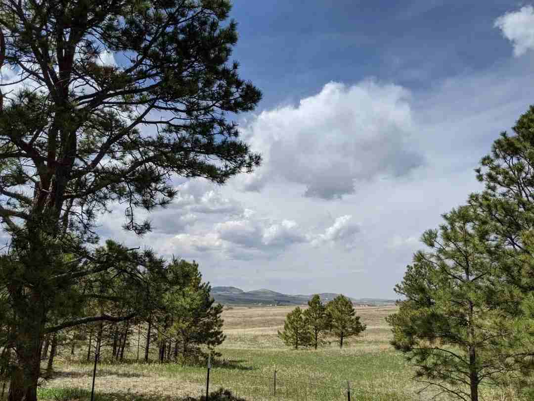 18530 Woodhaven Dr - Photo 5 of 16