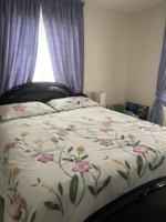 featured image of Hummingbird Dr & Pinoak St