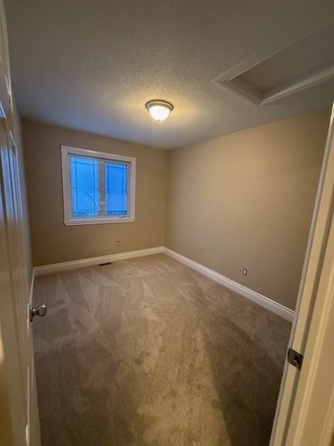 37 Nathalie - Photo 6 of 9