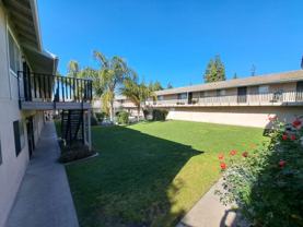 Blue Haven - Photo 1 of 1