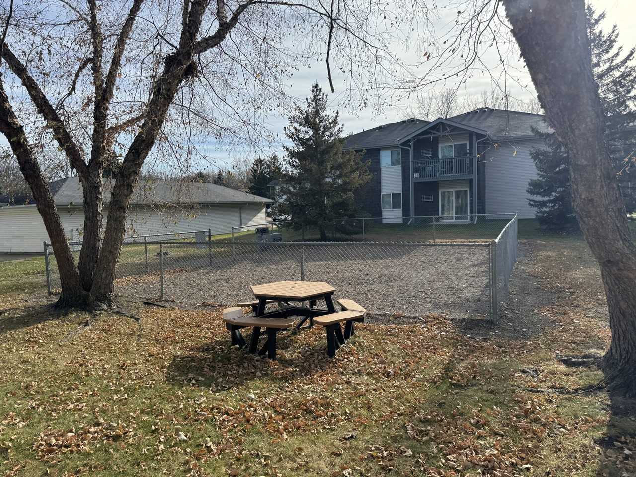 Kestrel - Photo 4 of 26