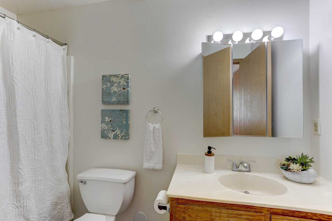 Kestrel - Photo 7 of 26