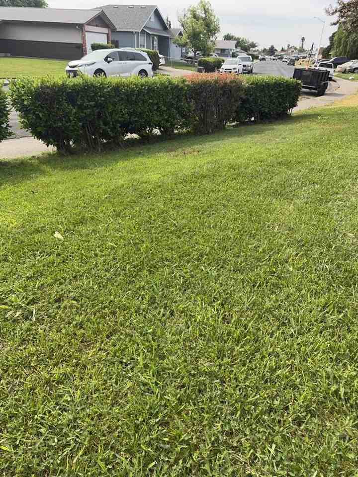 341 E Alaska Ave - Photo 3 of 18