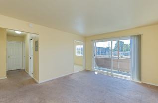 206 Chumalia Street - Photo 1 of 1