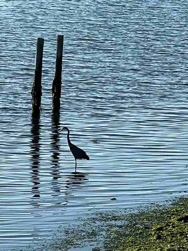 975 S Highway 1 - Photo 6 of 13