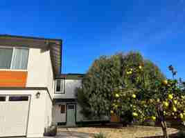 featured image of 2207 Dain Ct