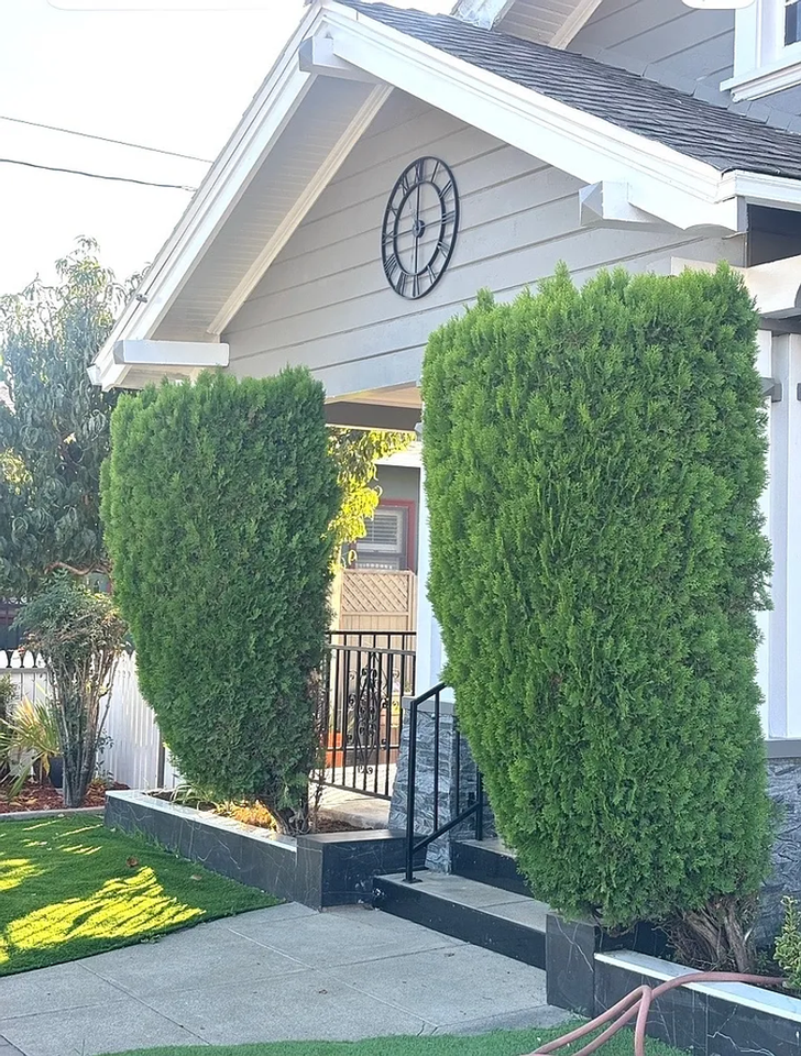 THRIVE - Photo 2 of 36