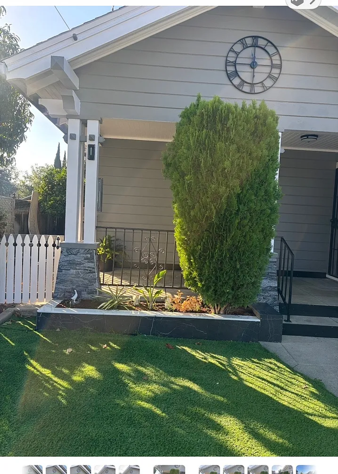 THRIVE - Photo 3 of 36