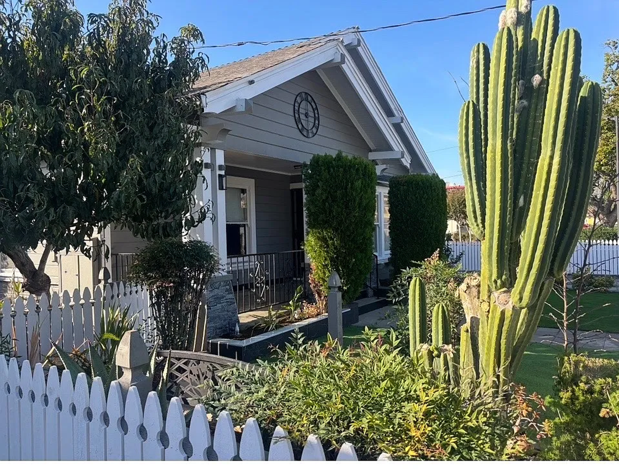 THRIVE - Photo 6 of 36