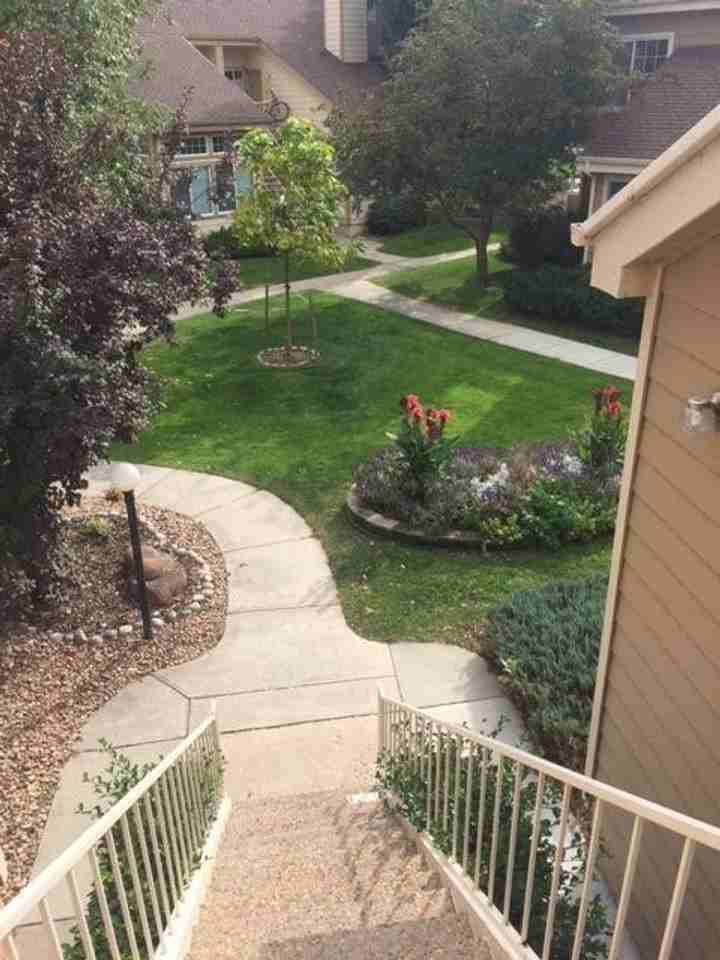 4883 White Rock Cir #D - Photo 2 of 9