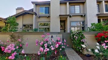 featured image of 4 Morning Star