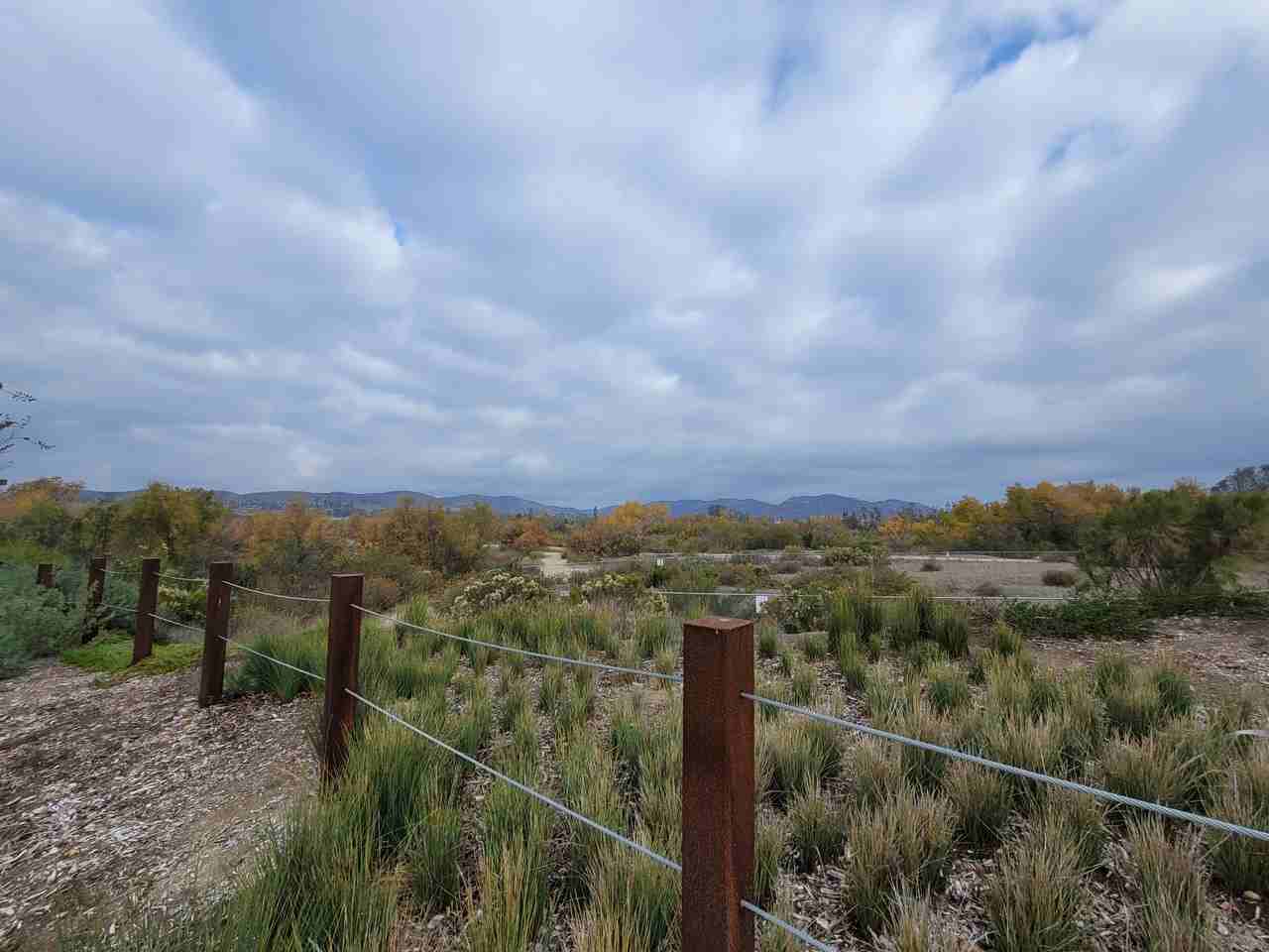 328 Lagoon Way - Photo 5 of 48