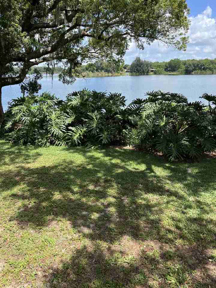 31 N Brentwood Cir #NA - Photo 2 of 12