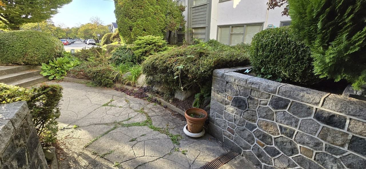 3777 Cambie St - Photo 6 of 20