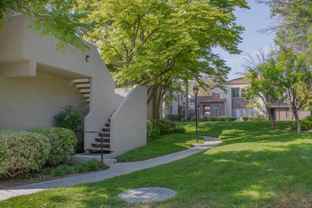 522 Via Colinas - Photo 1 of 1