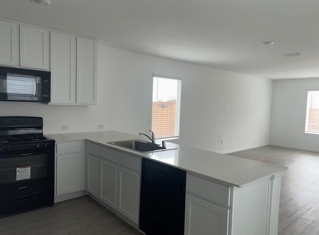 12132 Thoroughbred Dr - Photo 3 of 19