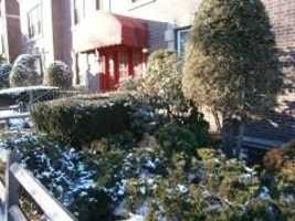 featured image of 15 South St