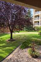 featured image of 8912 156 St Nw #1