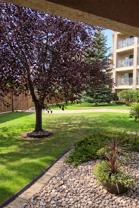 8912 156 St Nw #1 - Photo 1 of 1