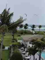 1630 N Ocean Blvd Apt 314 - Photo 1 of 1