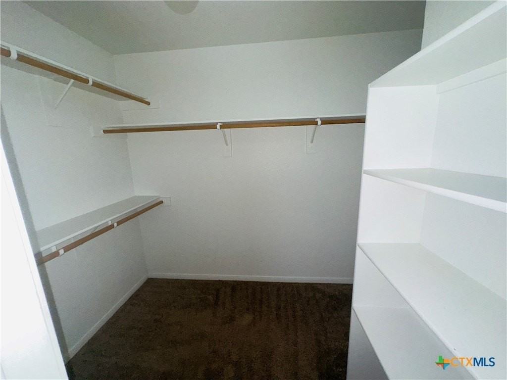 2410 Bachelor Button Blvd - Photo 5 of 11