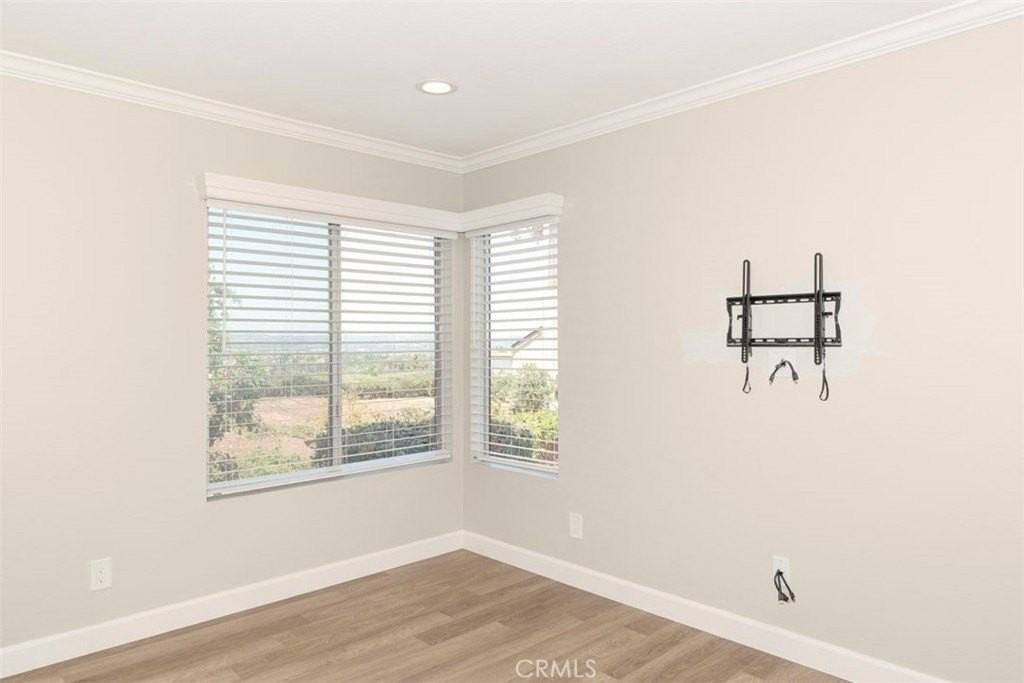 29135 Via Cerrito - Photo 7 of 23