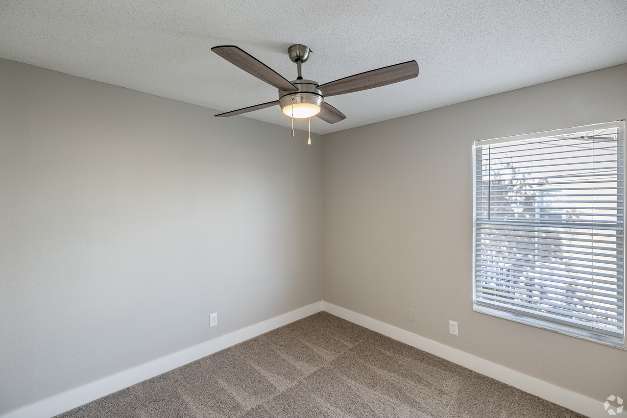 The Point at Naples - Photo 4 of 27