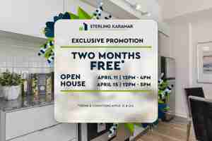 featured image of 31 Phipps St