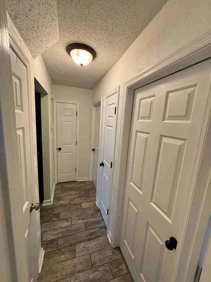 1013 Blue Spring Ln - Photo 7 of 31