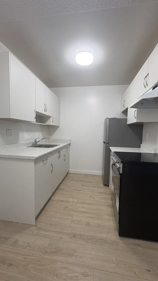 525 West 14th Avenue #407 - Photo 6 of 11